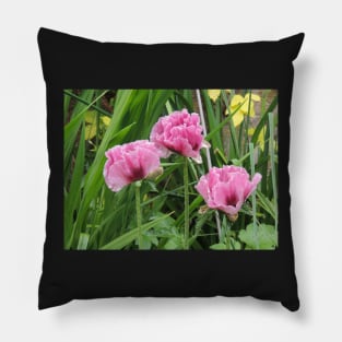 The Three Garden Graces Pillow