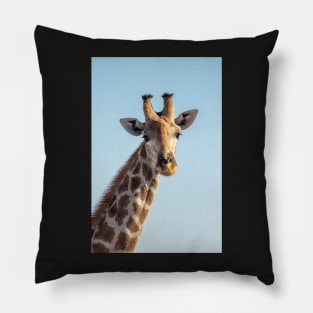 Giraffe portrait, Etosha National Park, Namibia Pillow