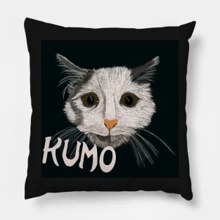 Kumo the Sad Kitten Pillow