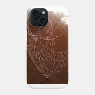 Arachnid branches close up cobweb Phone Case