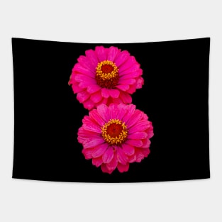 Two pink flowers Tapestry