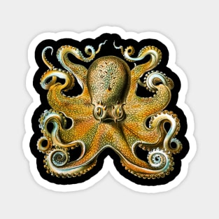 Octopus Magnet