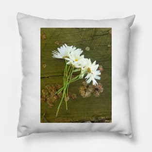 A Bunch of Daisies by Avril Thomas Pillow