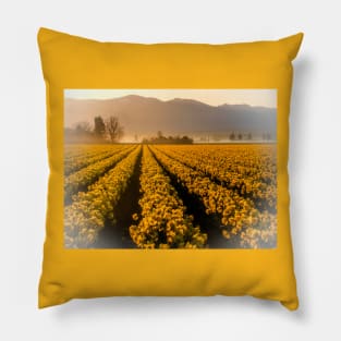 Golden Field Pillow