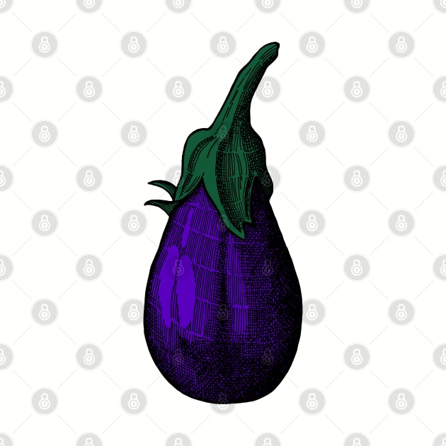 Eggplant by senkova