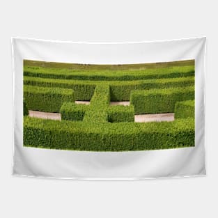 Natural maze Tapestry