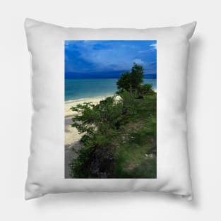 Apparel, home, tech and travel design Pillow