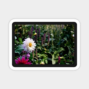 Flower Garden Magnet