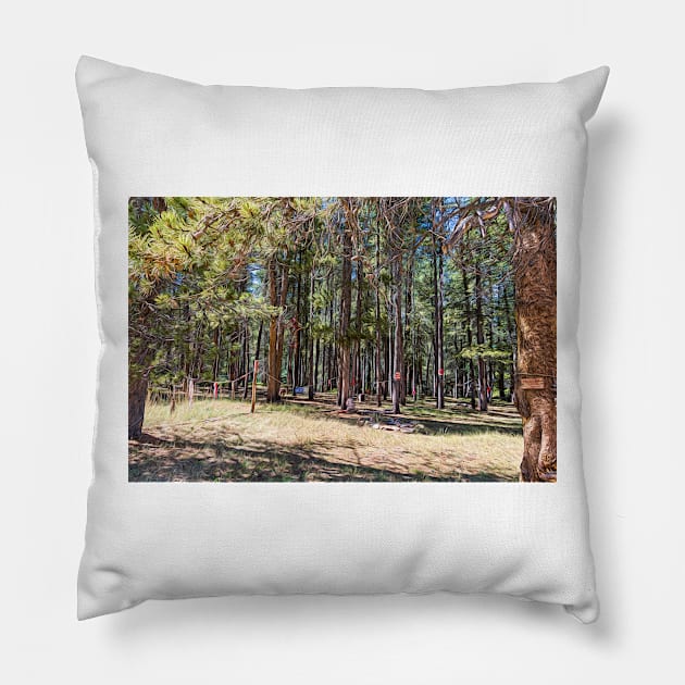 Magdalene Woods Walk - Contemplative Walk Pillow by Debra Martz