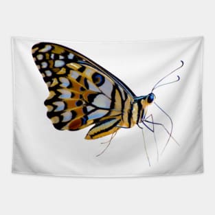 Butterfly Tapestry