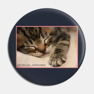 Funny Cats and Cute Kittens Pin