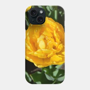 yellow tulips Phone Case