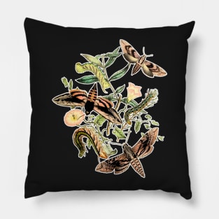 Butterflies and Moths by EncycloArt | Insects Bugs Tee Pillow