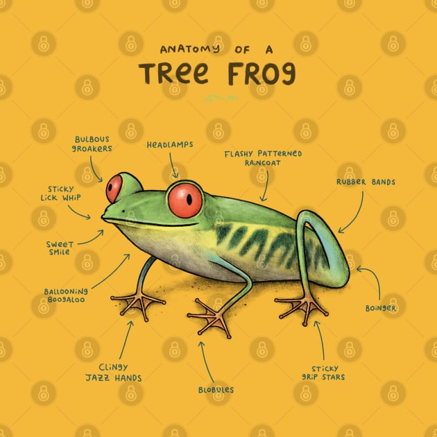 Anatomy of a Tree Frog by Sophie Corrigan