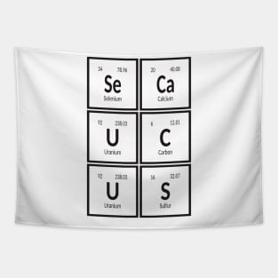 Town of Secaucus | Periodic Table of Elements Tapestry