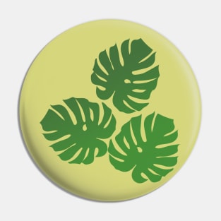 Plant leaves palm monstera green Pin