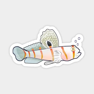 Randall's Prawn Goby Fish Magnet