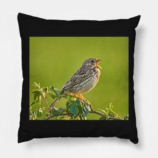 Corn bunting on a bush Pillow