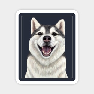 Siberian Husky - Up close dog Magnet