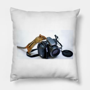 Point of View Pillow