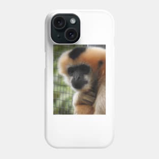 White-cheeked gibbon Phone Case