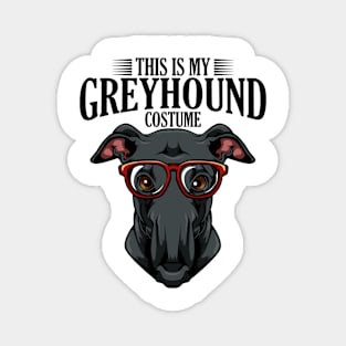 Greyhound Magnet