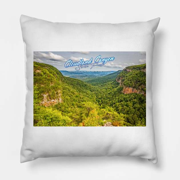 Cloudland Canyon State Park Pillow by Gestalt Imagery