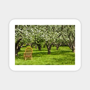 Apple garden Magnet
