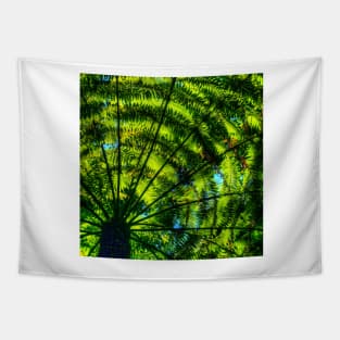 Patterns of fern & light Tapestry