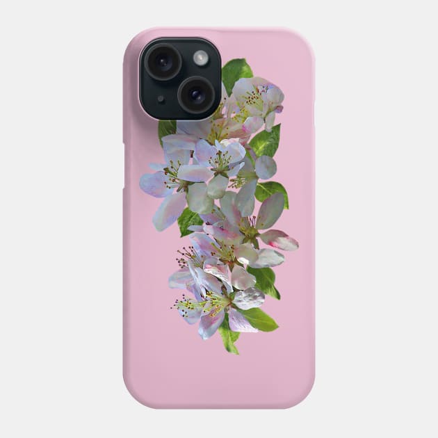 Apple Blossoms Phone Case by SusanSavad