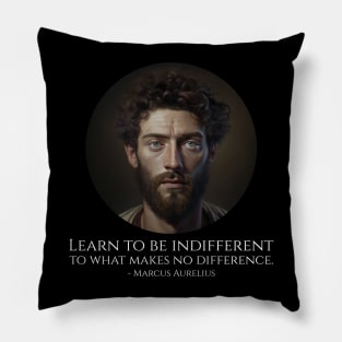 Learn to be indifferent to what makes no difference. - Marcus Aurelius Pillow