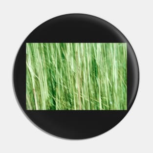 Nature in abstract, green grass in motion blur Pin