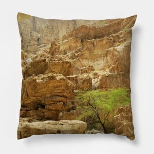 Rocky Mountain Photograph Pillow