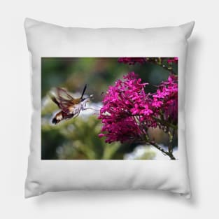 THE PANASONIC FZ 200 PAR OKAIO CREATION Pillow