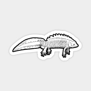 Newt Magnet