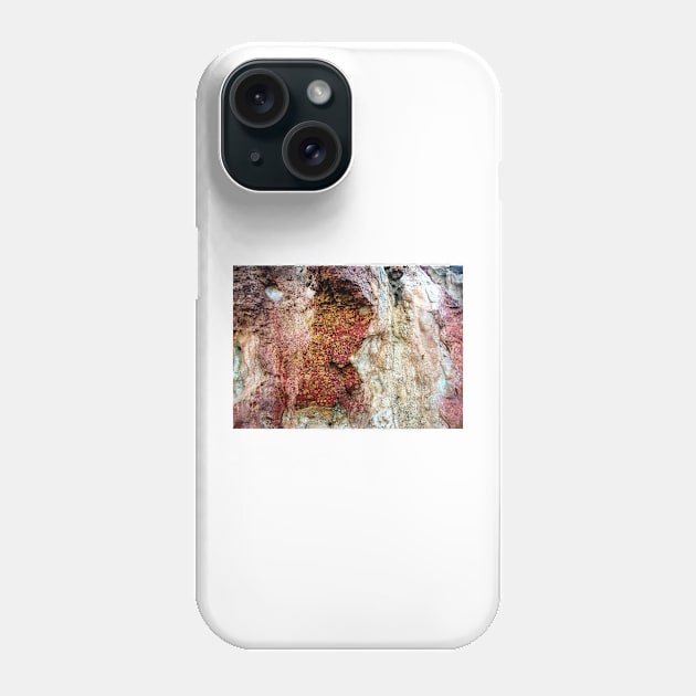 Rock patterns, Mornington Peninsula Phone Case by rozmcq