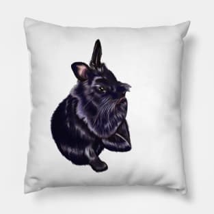 bunny rabbit cute  ebony blue colored coloured lionhead bunny rabbit Pillow