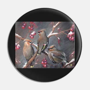 Cedar waxwings Pin