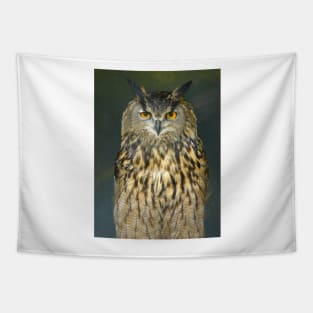 European Eagle Owl Tapestry