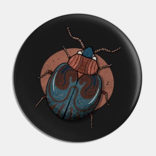 Coleoptera insect illustration 5 Pin