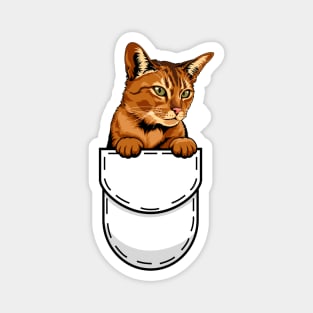 Funny Abyssinian Pocket Cat Magnet