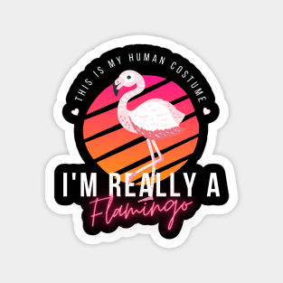 Flamingo Lovers, This Is My Human Costume I'm Really A Flamingo, funny halloween Magnet