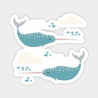 Narwhal Magnet