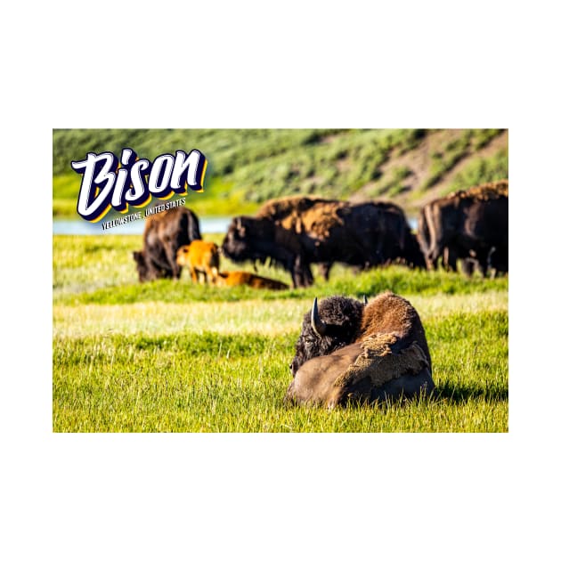 Bison at Yellowstone by Gestalt Imagery