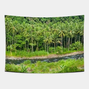 Cahulogan River, Gingoog, Misamis Oriental, Mindanao, Philippines Tapestry