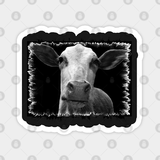 Animals Cute Cows incredible India Magnet by PlanetMonkey