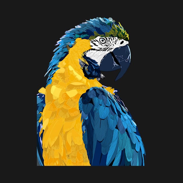 colorful parrot by ivox