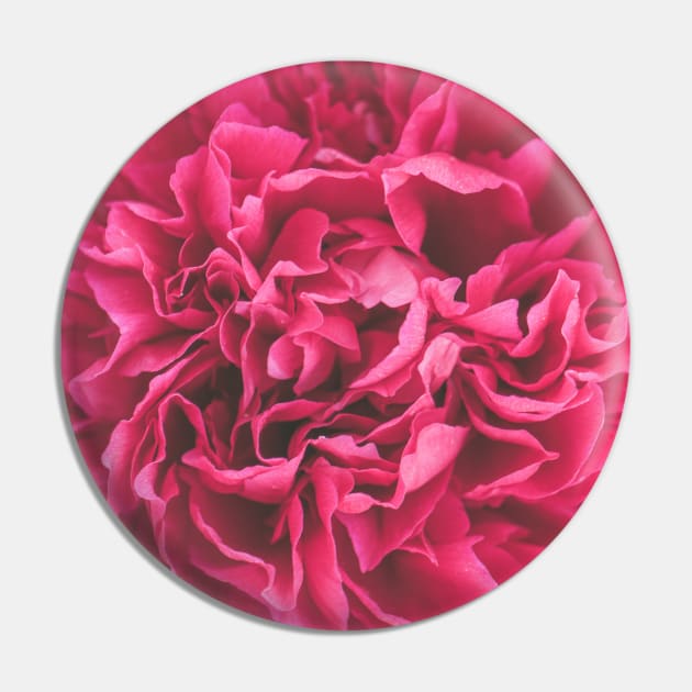 Pink roses Pin by S-L-M-N