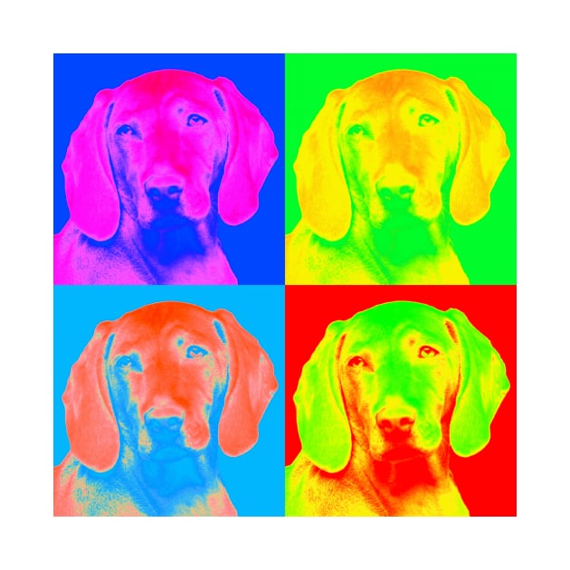 Pop Art - Weimaraner by Naves