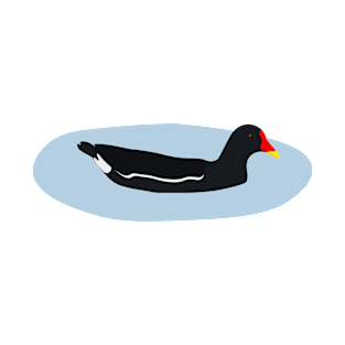 Cute Moorhen Bird Illustration T-Shirt